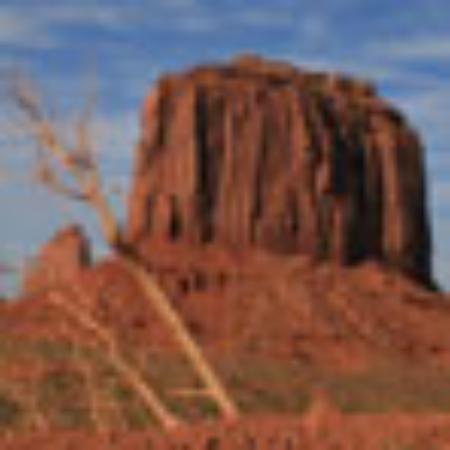 Fresh Market Square Buffet